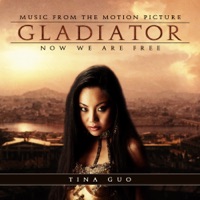 Now We Are Free (Gladiator Main Theme) - Single - Tina Guo