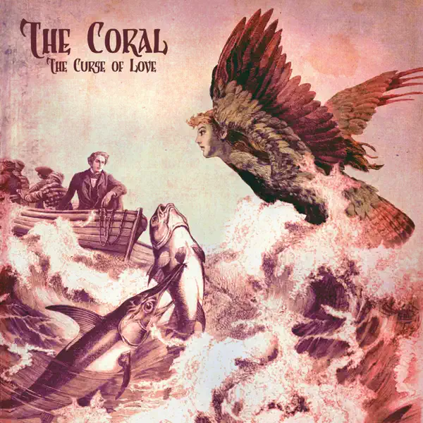 Wrapped in Blue — The Coral