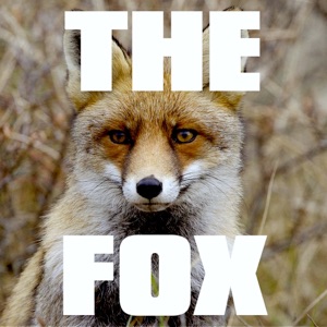 What the Fox Say (Single)