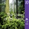 The Voices of the Forest (Les voix de la forêt) - Nature Sounds - Sons de la nature lyrics