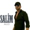 Alo - Salim lyrics