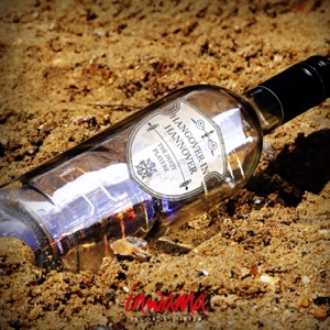 Hangover in Hannover - Single