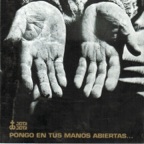 Te Recuerdo Amanda
