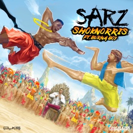 Shoknorris (feat. Burna Boy) Sarz