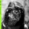 Cuatro Paredes (feat. Jonathan Arellano) - Sierra León lyrics
