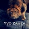 My Mexican Yogi - Yvo Zanev lyrics