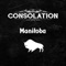 Manitoba - The Consolation lyrics