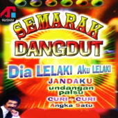 Semarak Dangdut, Vol. 2 - Hamdan ATT