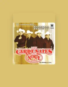 Listen to Los Cardenales del Norte, watch music videos, read bio, see tour dates & more!