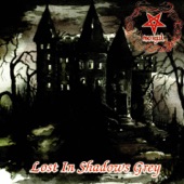 Lost In Shadows Grey artwork