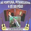 PAINEIRA VELHA