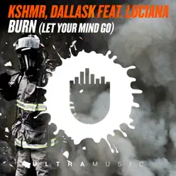 Burn (Let Your Mind Go) [feat. Luciana] - Single - KSHMR