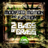 2 Bags of Grass - Single - Modified Motion & Faction