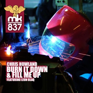 Burn It Down &amp; Fill Me Up - Single