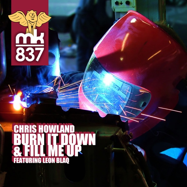 Burn It Down &amp; Fill Me Up - Single