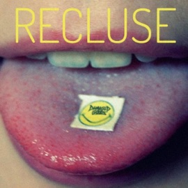 Recluse Damaged Goods