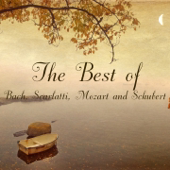 4 Impromptus, Op. 90, D. 899: No. 3 in G-Flat Major