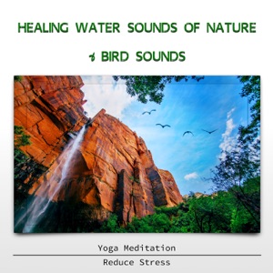 Healing Water Sounds of Nature & Bird Sounds - Yoga Meditation, Reduce Stress
