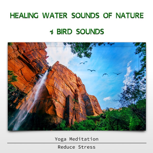 Healing Water Sounds of Nature & Bird Sounds - Yoga Meditation, Reduce Stress