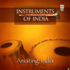 Amazing India (Instruments of India) - Various Artists