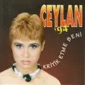 Hamamcı Teyze