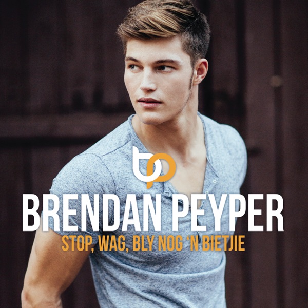 Brendan Peyper - Die Perfekte Een Vir My