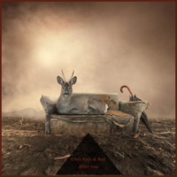 Miss You - Single - Christ Volis & Ralf