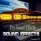 Flipper - Pro Hollywood Sound Effects lyrics