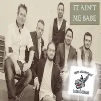 It Ain't Me Babe — The Whistlin' Donkeys