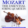 Mozarteum String Quartet