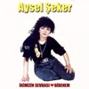 Aysel Seker - Saygımız Vardır