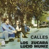 Calles, 1980