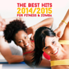 The Best Hits 2014/2015 for Fitness & Zumba - Various Artists