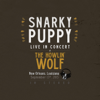 Lingus (Live) - Snarky Puppy