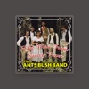 The Ants Bush Band