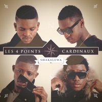 Les 4 points cardinaux - EP - Shakalewa