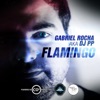 Flamingo (Gabriel Rocha aka DJ PP) - Single