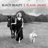 Elana James - Hey, Beautiful: Last Letter from Iraq (Us Army Staff Sgt. Juan Campos)