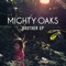 Brother - Mighty Oaks lyrics