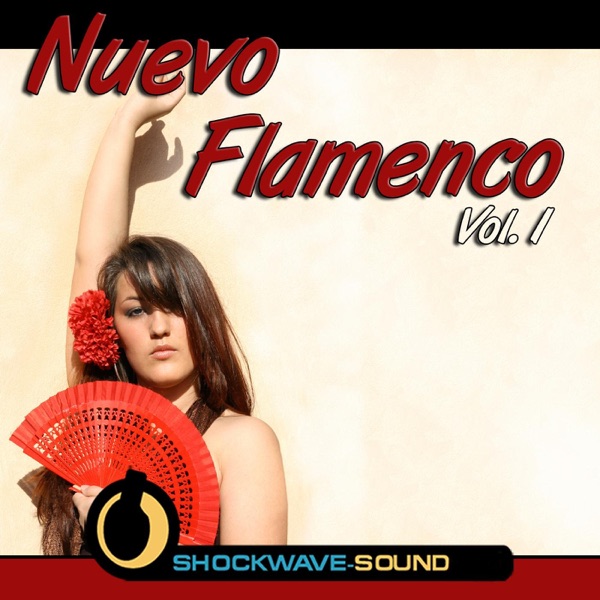 Nuevo Flamenco, Vol. 1