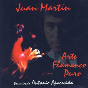 Arte Flamenco Puro