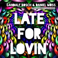 Late for Lovin' (feat. DJ Roberto Ferro) - Single - Gandalf Bosch & Daniel Moss