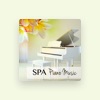 Spa Music Piano Relaxation Masters