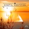Sounds of Nature - Relaxing Mindfulness Meditation Relaxation Maestro lyrics