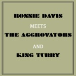 Ronnie Davis Meets the Aggrovators & King Tubby