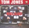 Burning Down the House (feat. The Cardigans) - Tom Jones lyrics