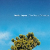 The Sound of Nature (Lightforce Remix) artwork