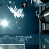 Carpathian Paths - Burkut (You Are My Salvation Remix)