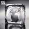 Animal (Mark Ronson Remix) [Bonus Track] - Miike Snow lyrics