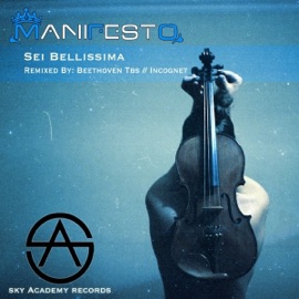 Sei Bellissima (Beethoven Tbs Radio Edit) Manifesto